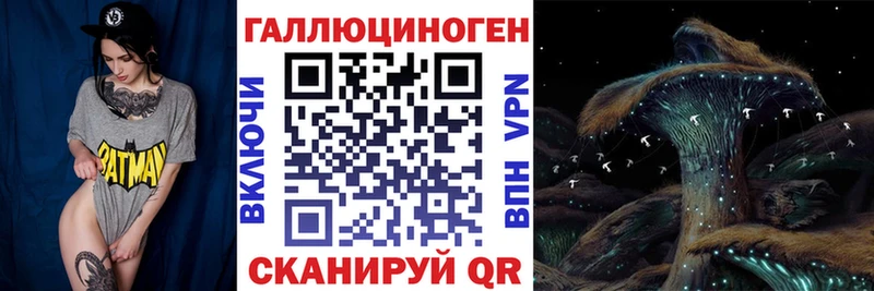 Псилоцибиновые грибы мицелий  даркнет сайт  Черепаново 