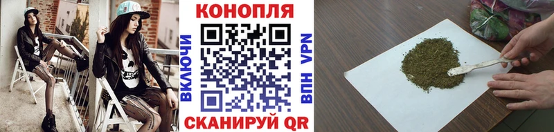 Каннабис OG Kush Черепаново